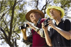 tourists