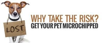 Microchipped Pet