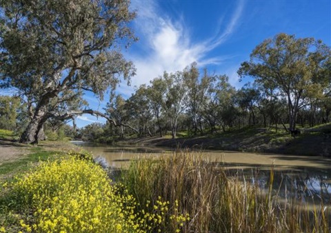 WALGETT WATER.jpg